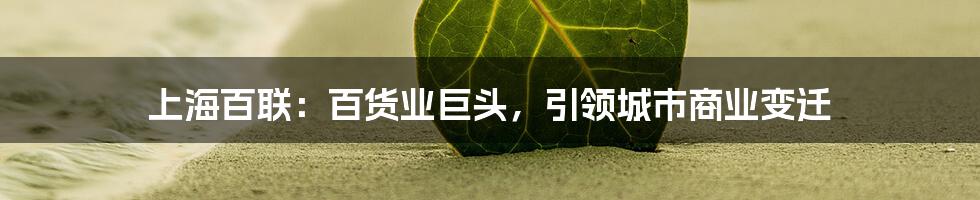 上海百联:百货业巨头,引领城市商业变迁