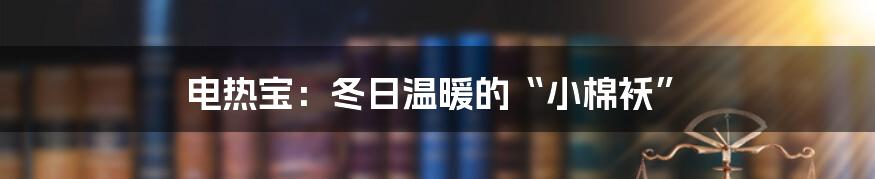 电热宝:冬日温暖的“小棉袄”