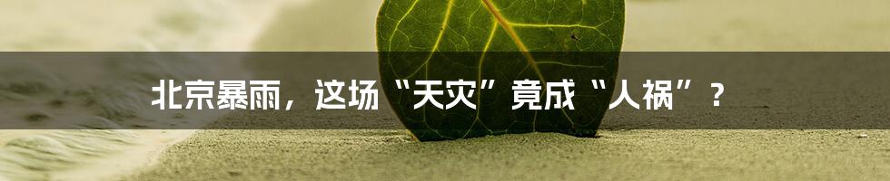 北京暴雨,这场“天灾”竟成“人祸”?