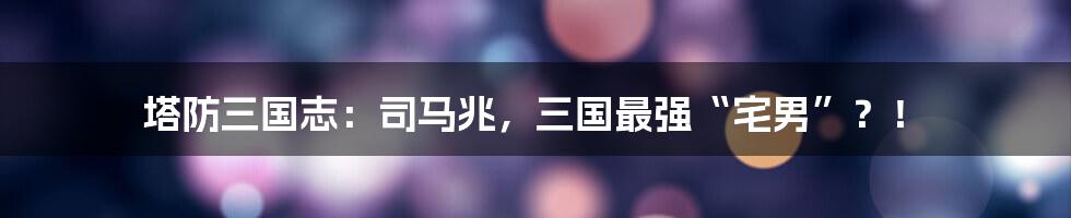 塔防三国志:司马兆,三国最强“宅男”?!
