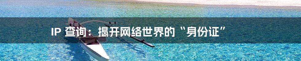 IP 查询:揭开网络世界的“身份证”
