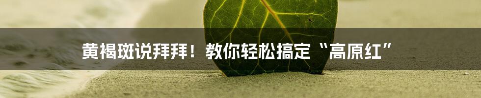 黄褐斑说拜拜!教你轻松搞定“高原红”