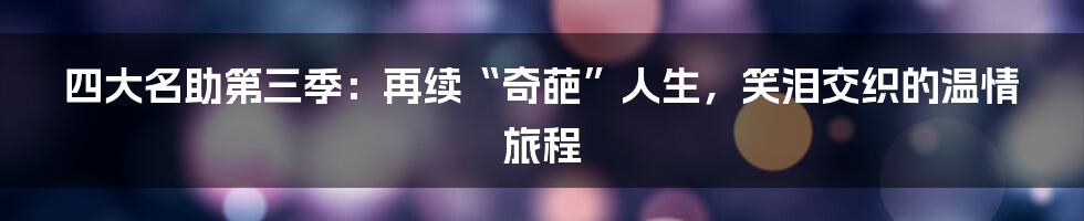 四大名助第三季：再续“奇葩”人生，笑泪交织的温情旅程