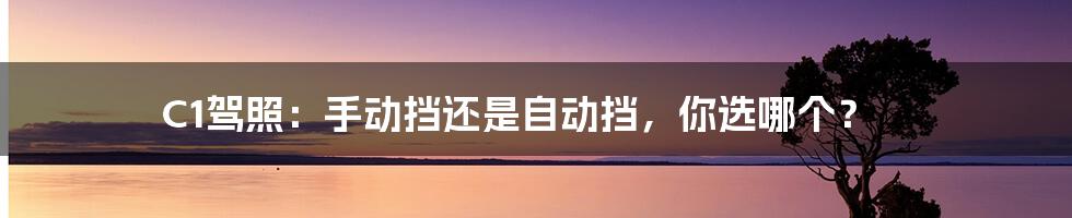 C1驾照:手动挡还是自动挡,你选哪个?