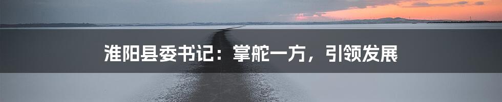 淮阳县委书记:掌舵一方,引领发展
