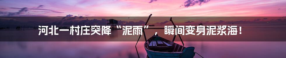 河北一村庄突降“泥雨”，瞬间变身泥浆海！