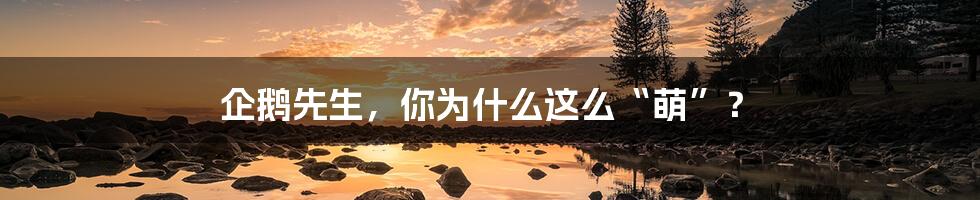 企鹅先生,你为什么这么“萌”?