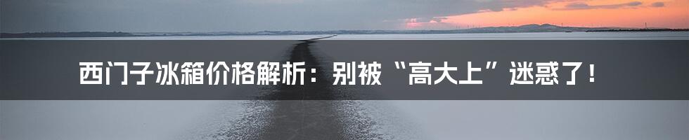 西门子冰箱价格解析:别被“高大上”迷惑了!