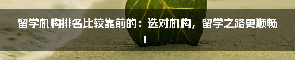 留学机构排名比较靠前的:选对机构,留学之路更顺畅!