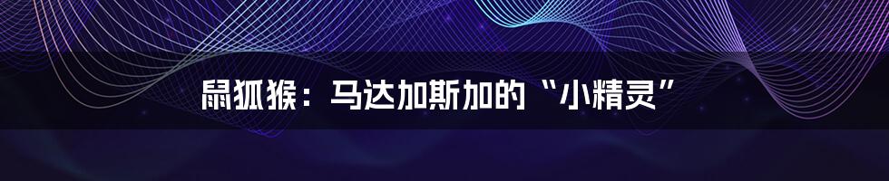 鼠狐猴:马达加斯加的“小精灵”