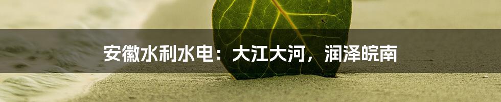 安徽水利水电:大江大河,润泽皖南