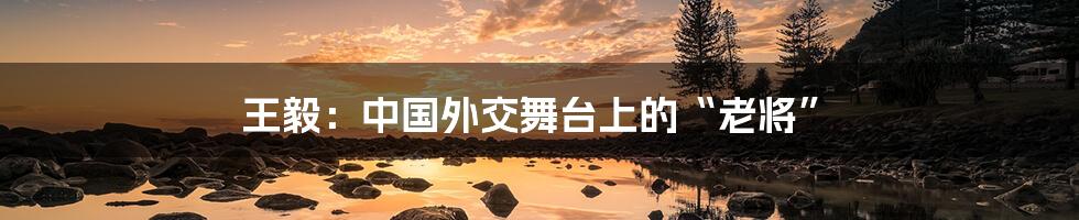 王毅:中国外交舞台上的“老将”