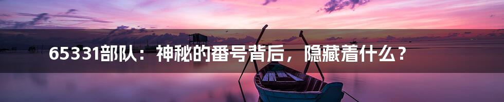 65331部队:神秘的番号背后,隐藏着什么?