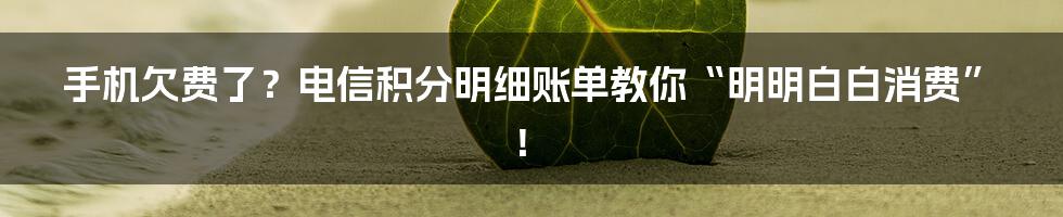 手机欠费了?电信积分明细账单教你“明明白白消费”!