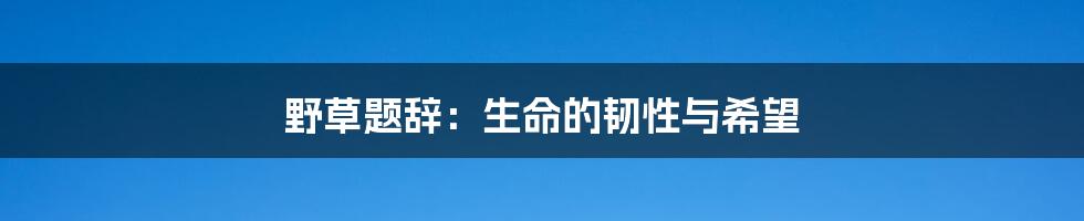 野草题辞：生命的韧性与希望