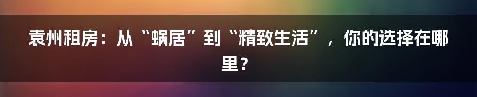 袁州租房：从“蜗居”到“精致生活”，你的选择在哪里？