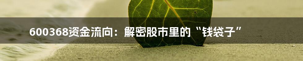 600368资金流向:解密股市里的“钱袋子”