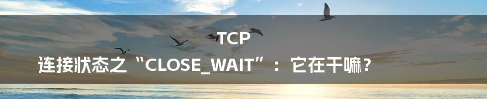 TCP 连接状态之“CLOSE_WAIT”:它在干嘛?