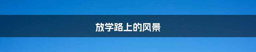 放学路上的风景