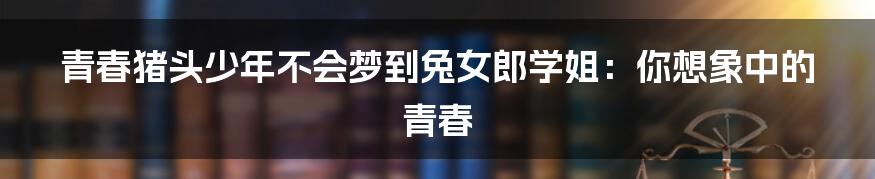 青春猪头少年不会梦到兔女郎学姐:你想象中的青春