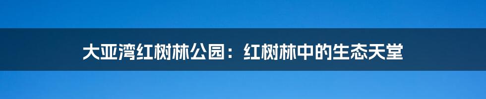 大亚湾红树林公园：红树林中的生态天堂