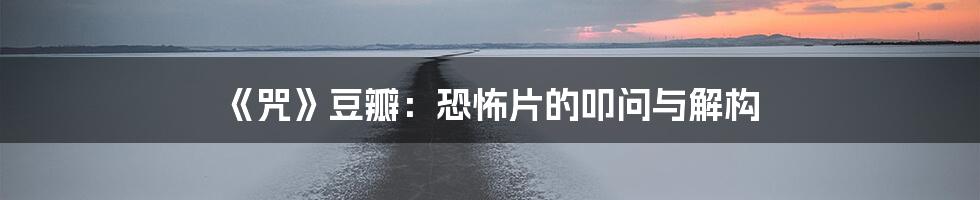 《咒》豆瓣:恐怖片的叩问与解构