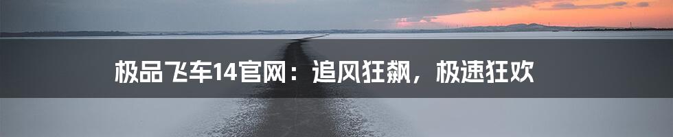 极品飞车14官网:追风狂飙,极速狂欢