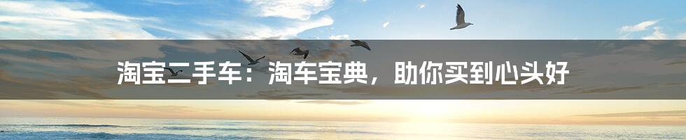 淘宝二手车:淘车宝典,助你买到心头好