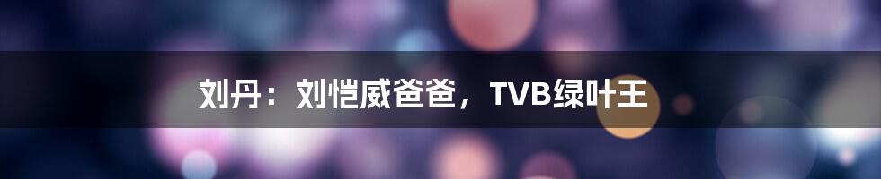 刘丹:刘恺威爸爸,TVB绿叶王