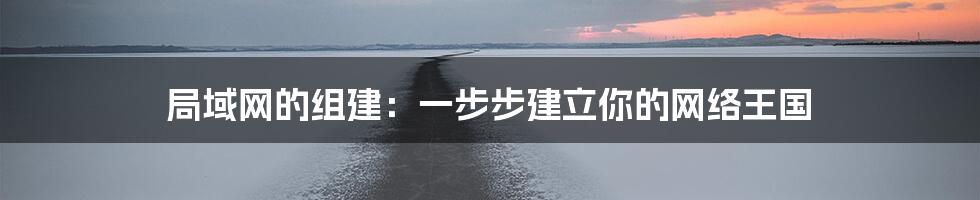 局域网的组建:一步步建立你的网络王国