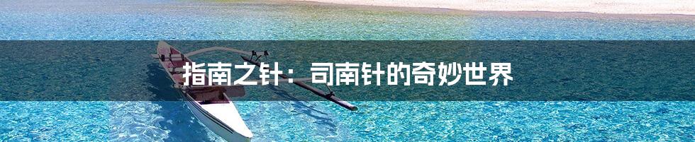 指南之针：司南针的奇妙世界