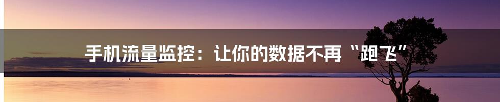 手机流量监控:让你的数据不再“跑飞”