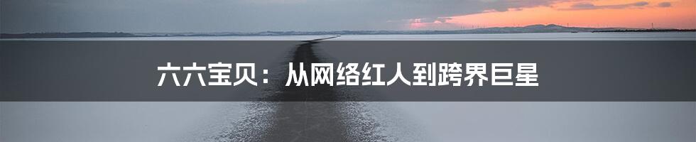 六六宝贝:从网络红人到跨界巨星