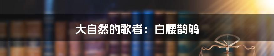 大自然的歌者:白腰鹊鸲