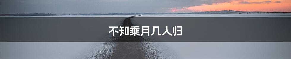 不知乘月几人归