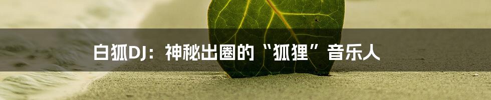 白狐DJ:神秘出圈的“狐狸”音乐人