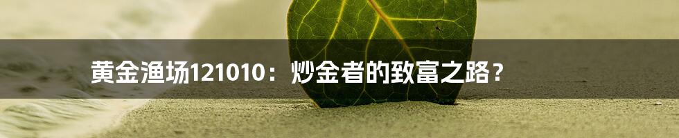 黄金渔场121010:炒金者的致富之路?