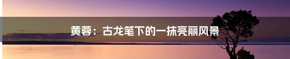 黄蓉:古龙笔下的一抹亮丽风景