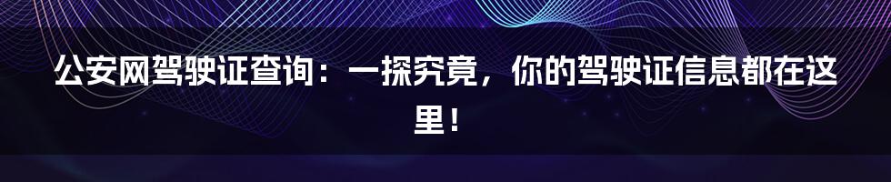 公安网驾驶证查询:一探究竟,你的驾驶证信息都在这里!