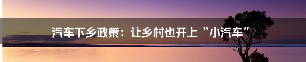 汽车下乡政策:让乡村也开上“小汽车”