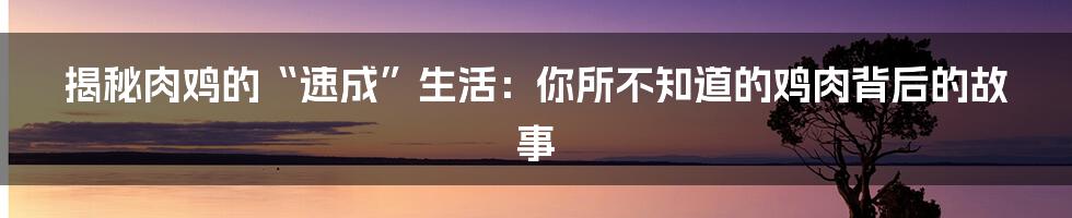 揭秘肉鸡的“速成”生活:你所不知道的鸡肉背后的故事