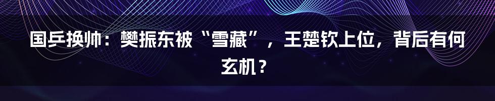 国乒换帅：樊振东被“雪藏”，王楚钦上位，背后有何玄机？