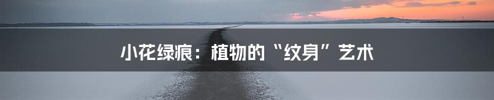 小花绿痕:植物的“纹身”艺术