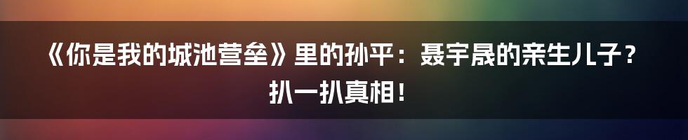 《你是我的城池营垒》里的孙平:聂宇晟的亲生儿子?扒一扒真相!