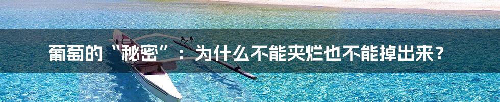 葡萄的“秘密”：为什么不能夹烂也不能掉出来？