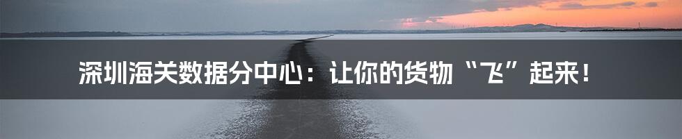深圳海关数据分中心：让你的货物“飞”起来！