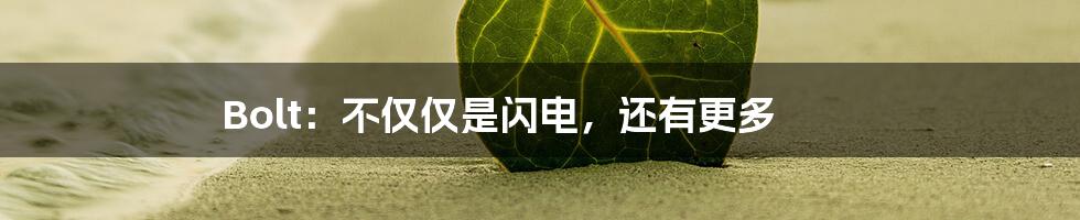 Bolt:不仅仅是闪电,还有更多