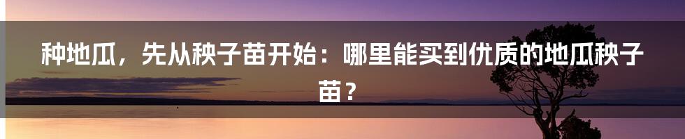 种地瓜，先从秧子苗开始：哪里能买到优质的地瓜秧子苗？