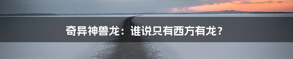 奇异神兽龙:谁说只有西方有龙?