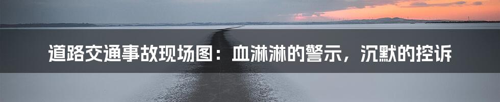 道路交通事故现场图:血淋淋的警示,沉默的控诉